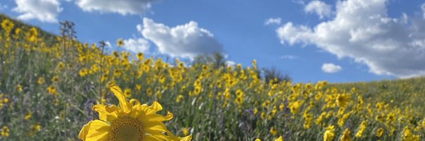 NicMAlexandre Profile Banner