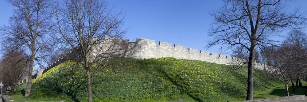 YorkDigitalImage banner