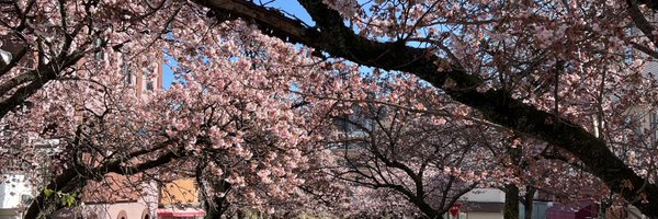 saucerorr Profile Banner