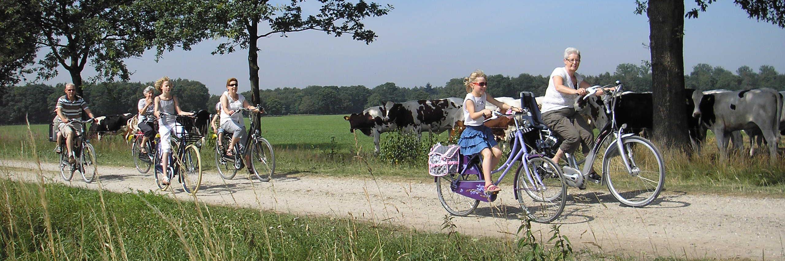 Fiets4Daagse's profile banner image