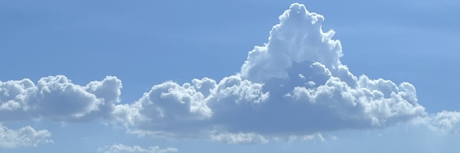 arnikelagstn's profile banner image