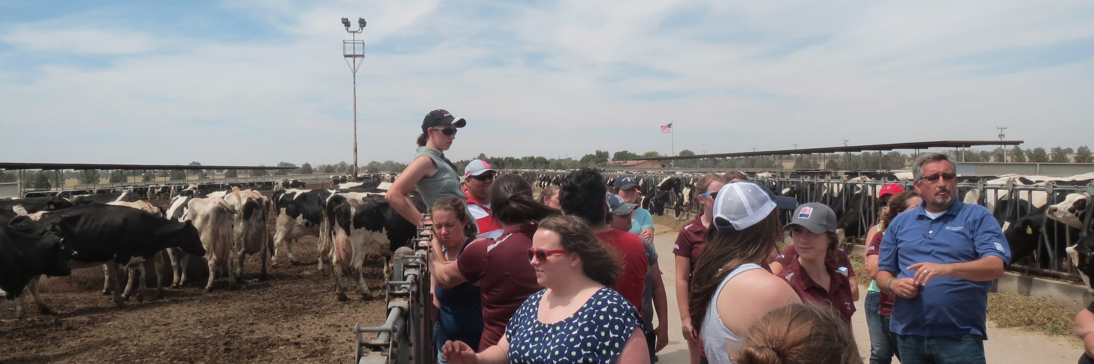 NMSU Dairy Extension banner