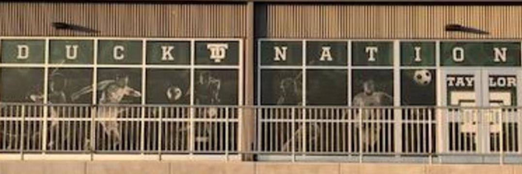 Taylor Ducks Football banner
