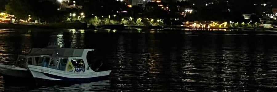 ShandriEsquivel's profile banner image