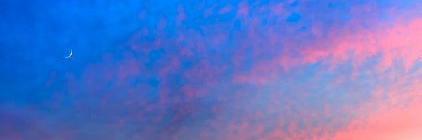 stray_bluecat's profile banner image