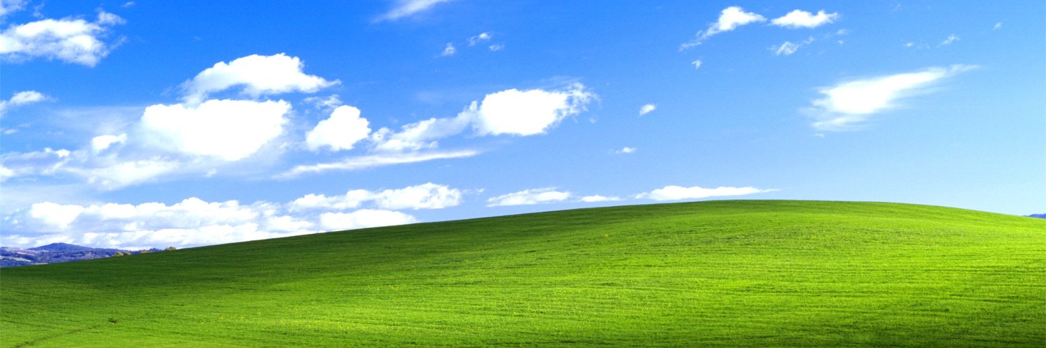 Skyler Designer's banner