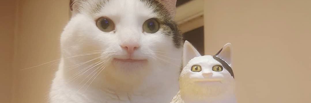 ColeChea's profile banner image