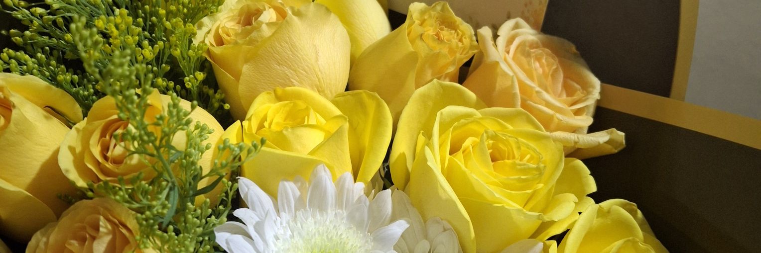 🌼🐝𝓜𝓪𝔂𝓻𝓪 🌼🐝 banner