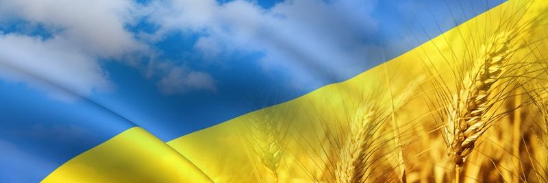 BogdanUkrainets's profile banner image