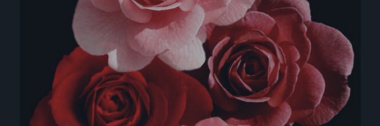 hoor433's profile banner image