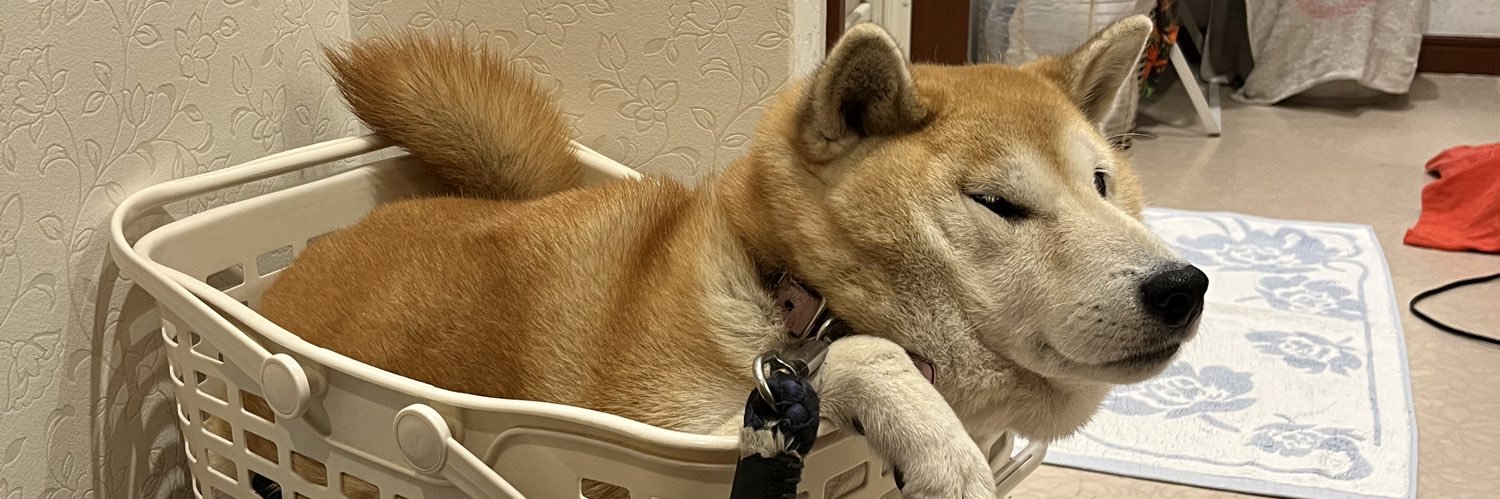 anotherchiharu's profile banner image