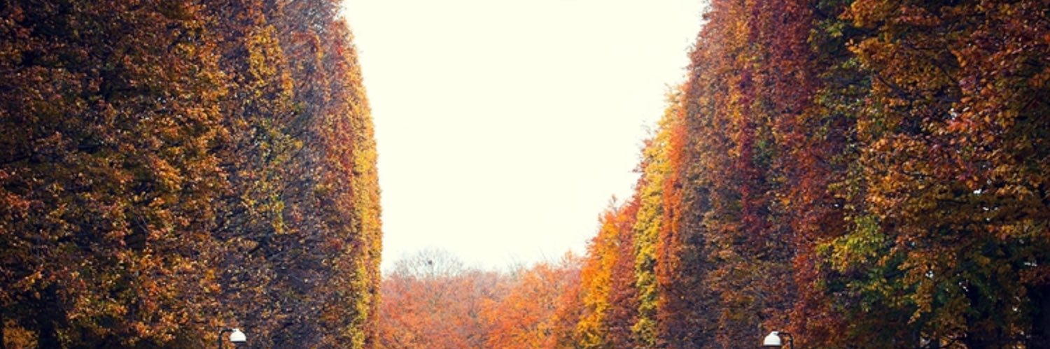 slicerguy's profile banner image