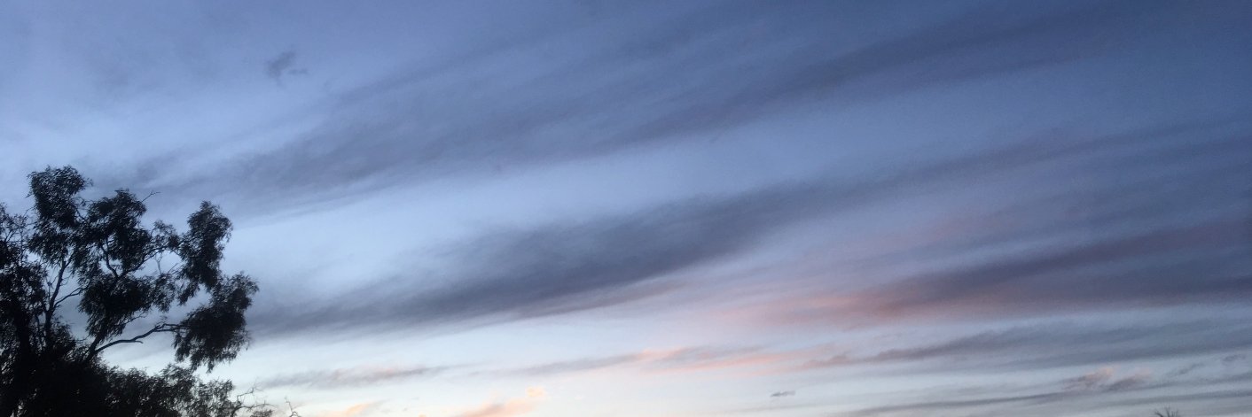 TenaciousKat (find me on 🧵s) banner