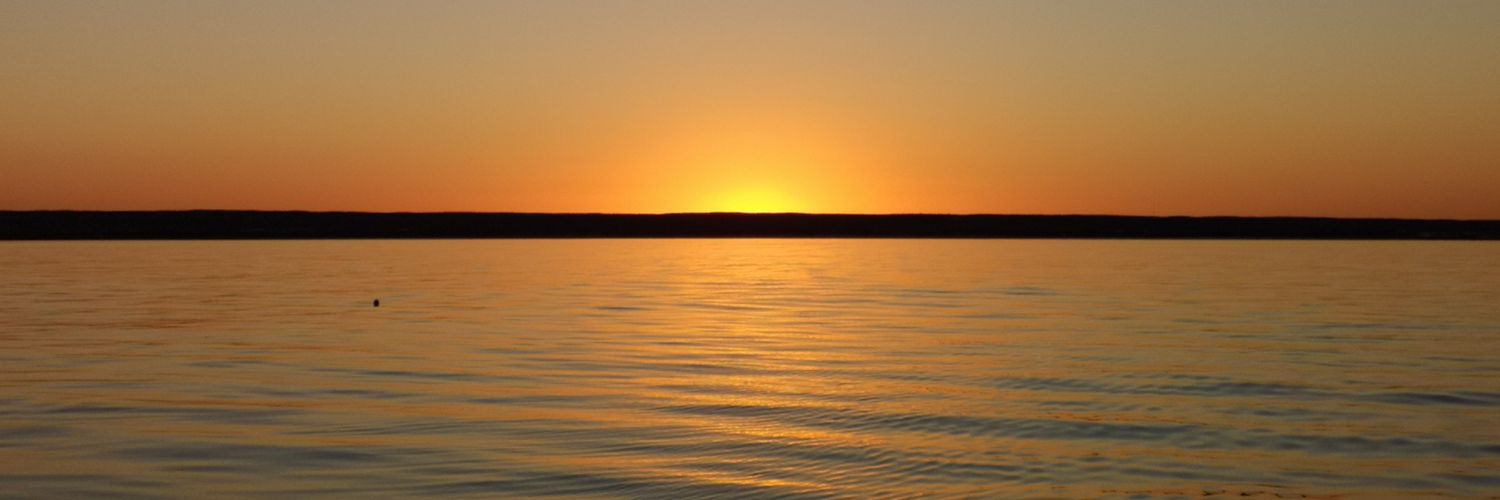 Michael Ladegaard banner