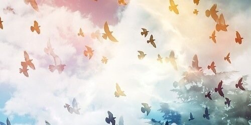 cartoonlly's profile banner image
