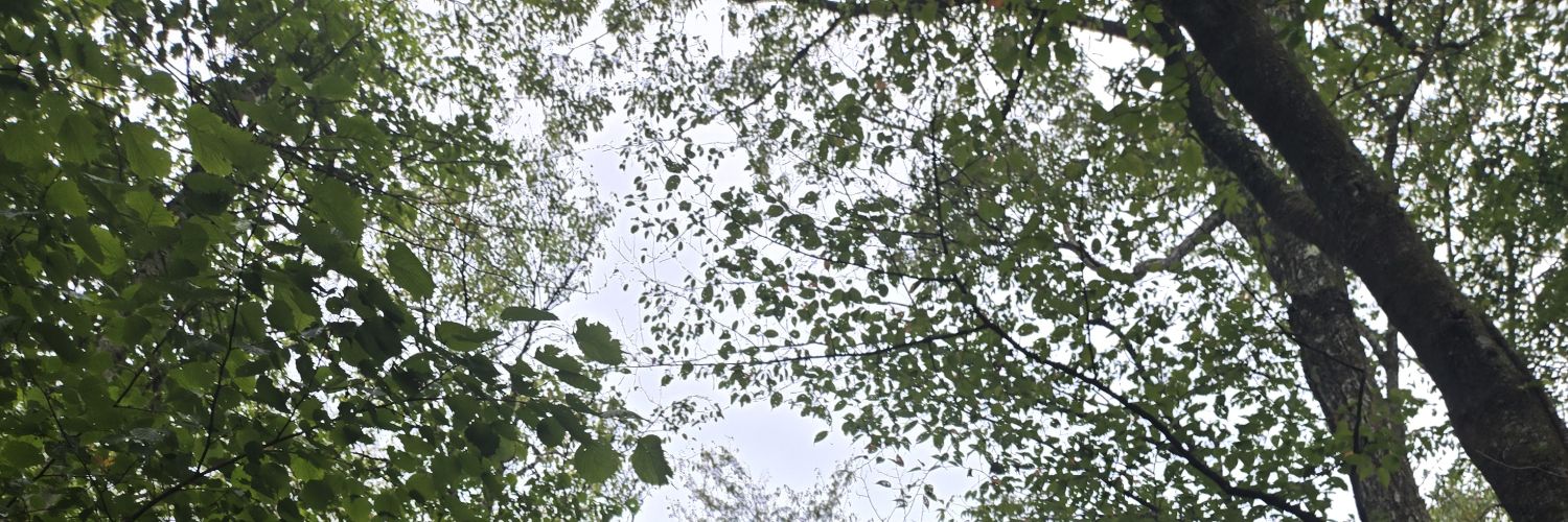 tyoshisann's profile banner image