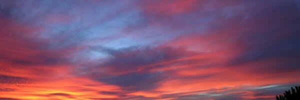 alvaronrubia Profile Banner