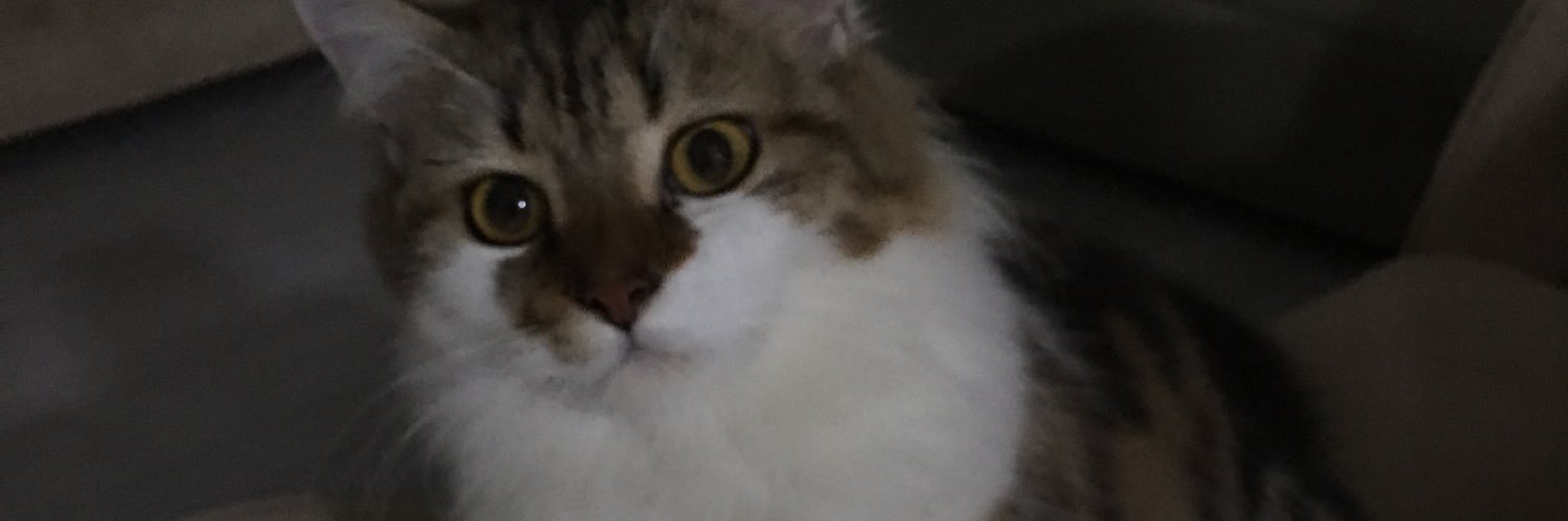 fionabesanez's profile banner image
