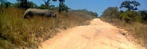 Heartbeat Of Africa banner