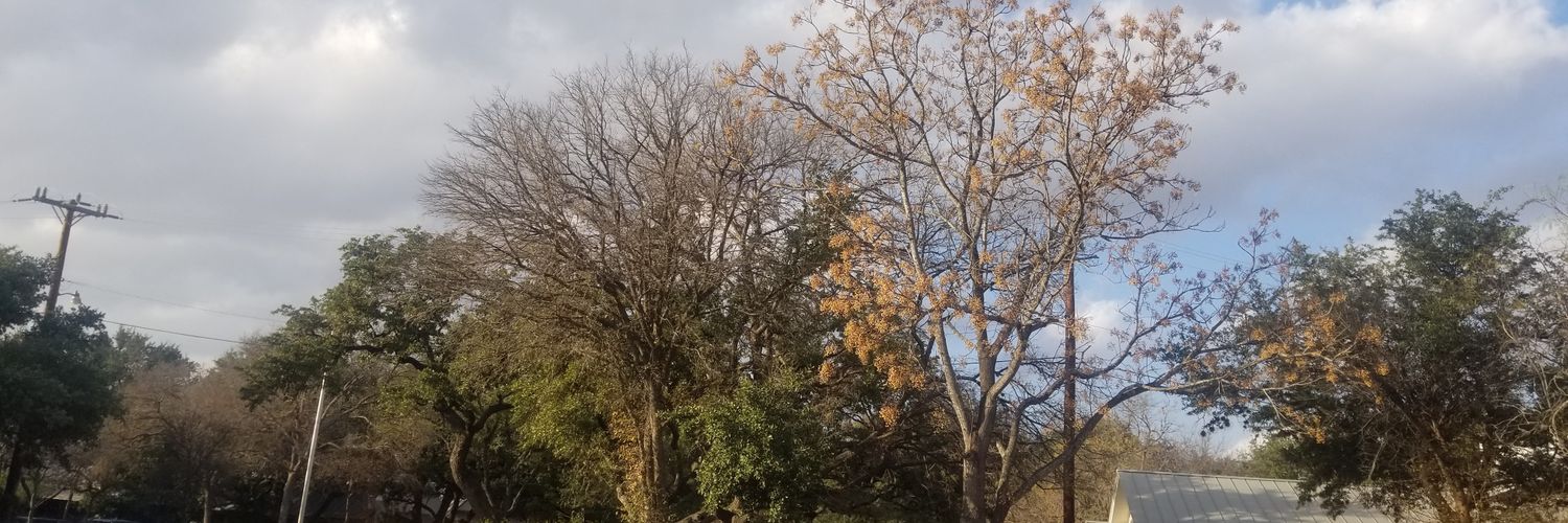 jydesolanke's profile banner image