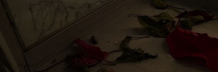 ปิด banner