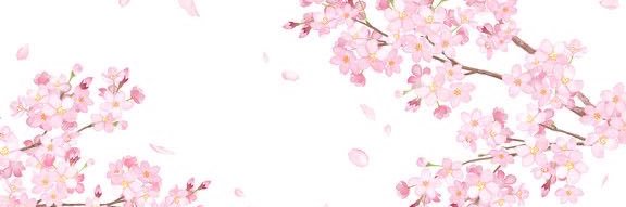 angelisawk's profile banner image