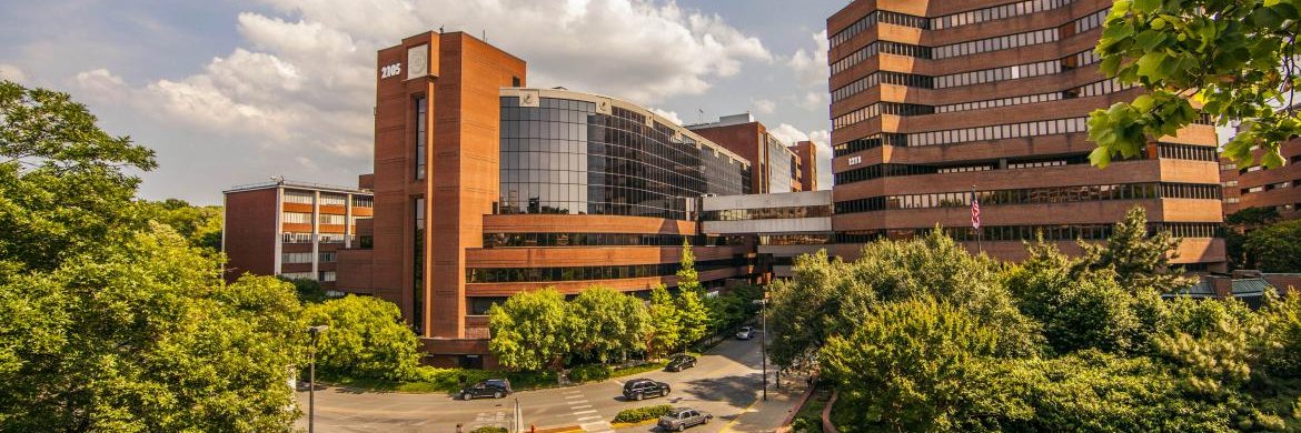 The Hiebert Lab banner