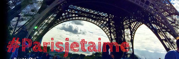 BrigitteSWDLP Profile Banner