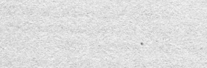 fuera de amor banner