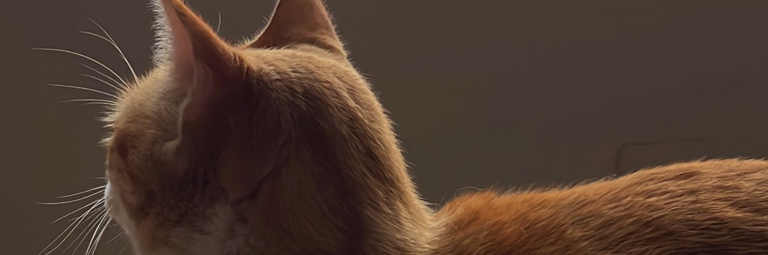__chinis__'s profile banner image