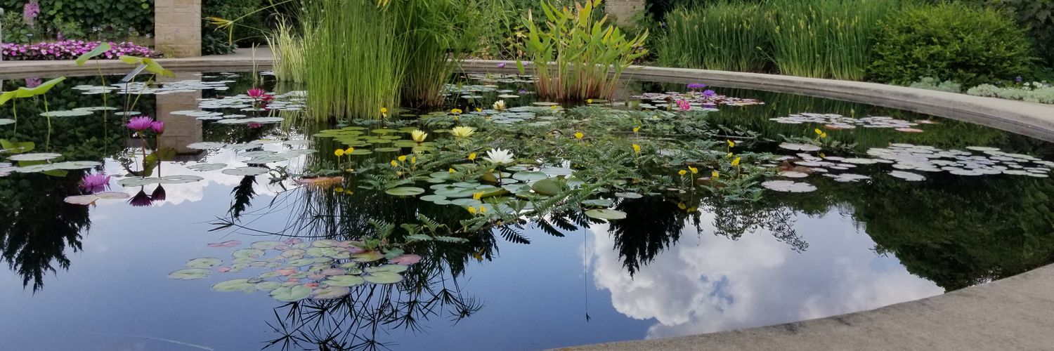 Yasha Duggal, PhD banner