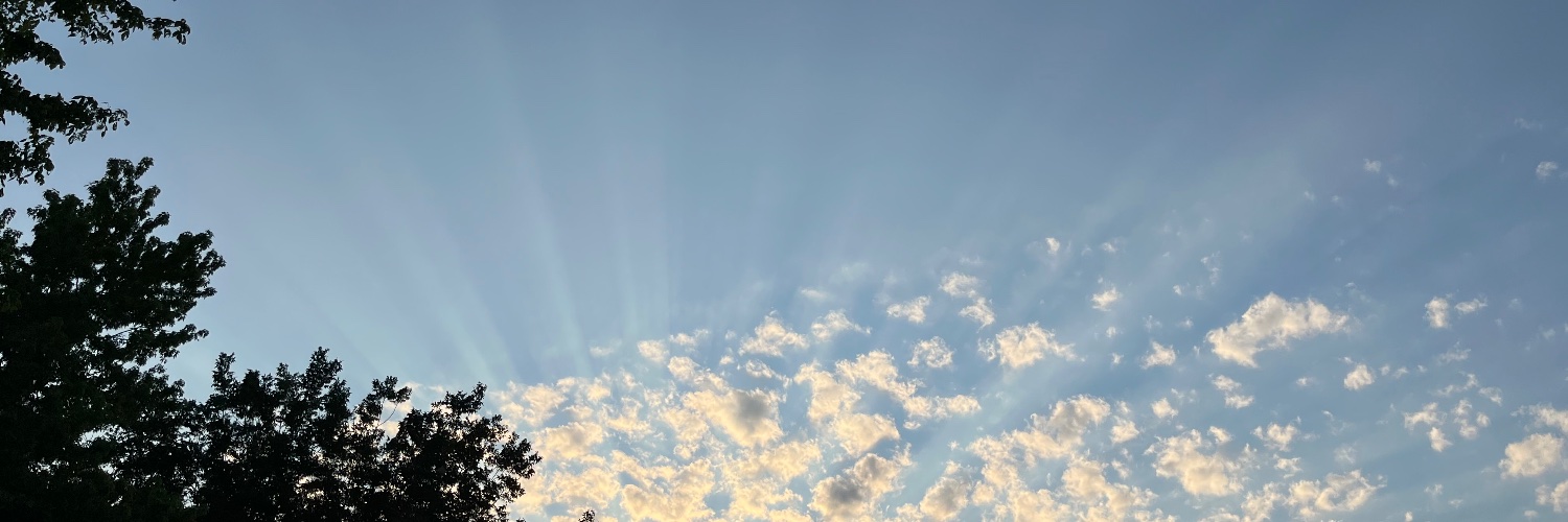 Lisette Joyeux banner