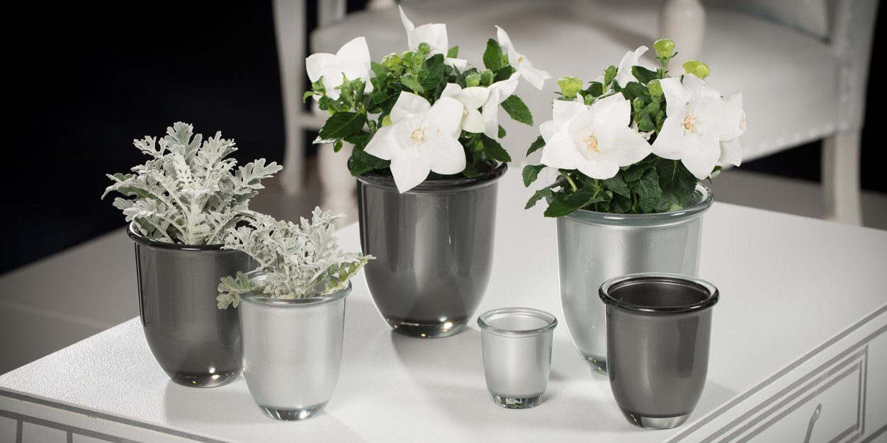 HakbijlGlass's profile banner image