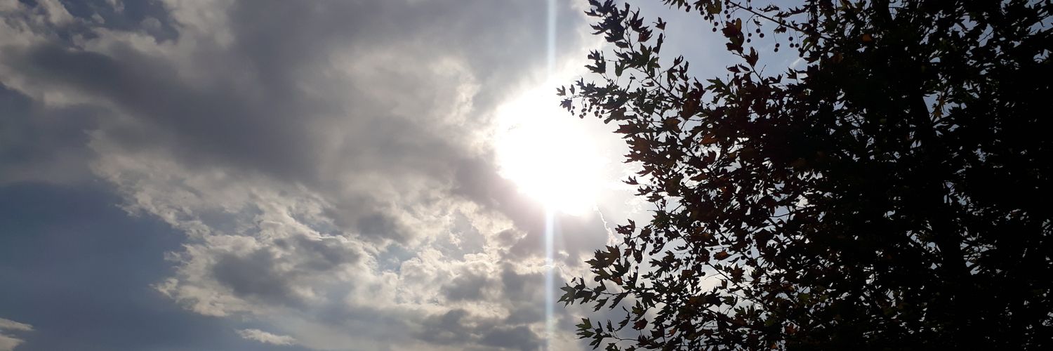 Elililifx's profile banner image