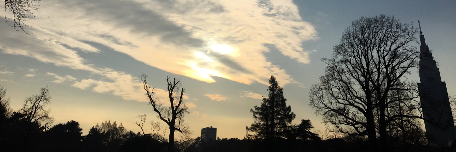 header image