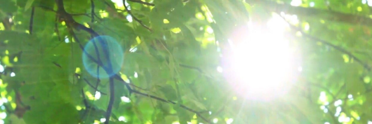 Bubble_Aiiz's profile banner image