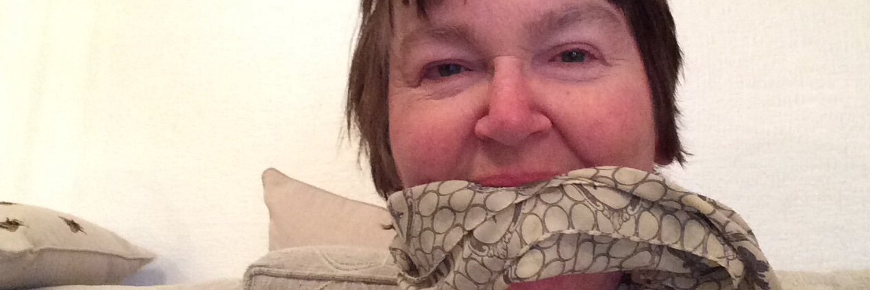 June Mccarthy banner