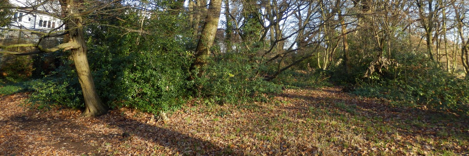 Friends of Cherry Tree Wood banner