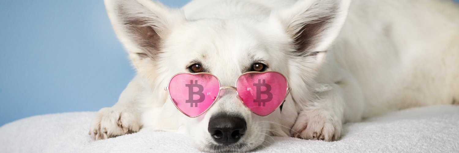 Crypto Dog 🐶 banner