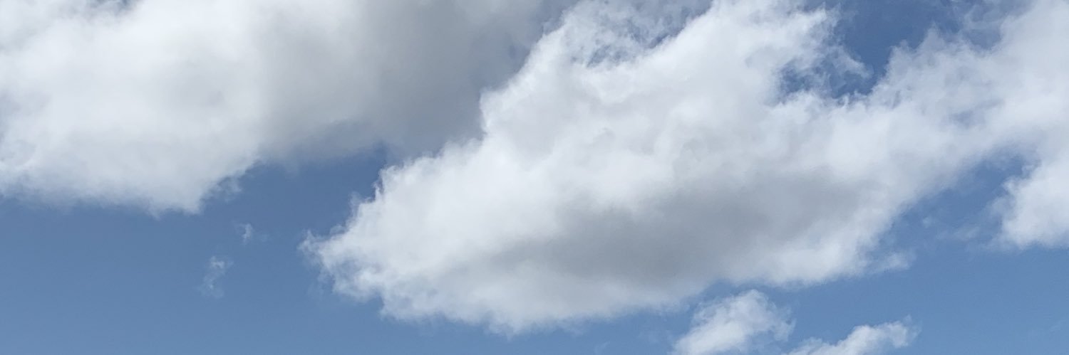 t1moth33 banner