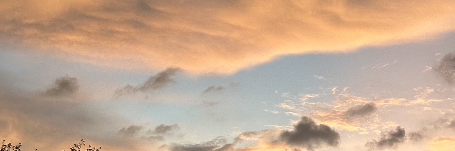 Master Teacher banner