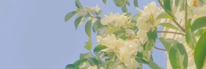 num🚨固ツイ必読 banner