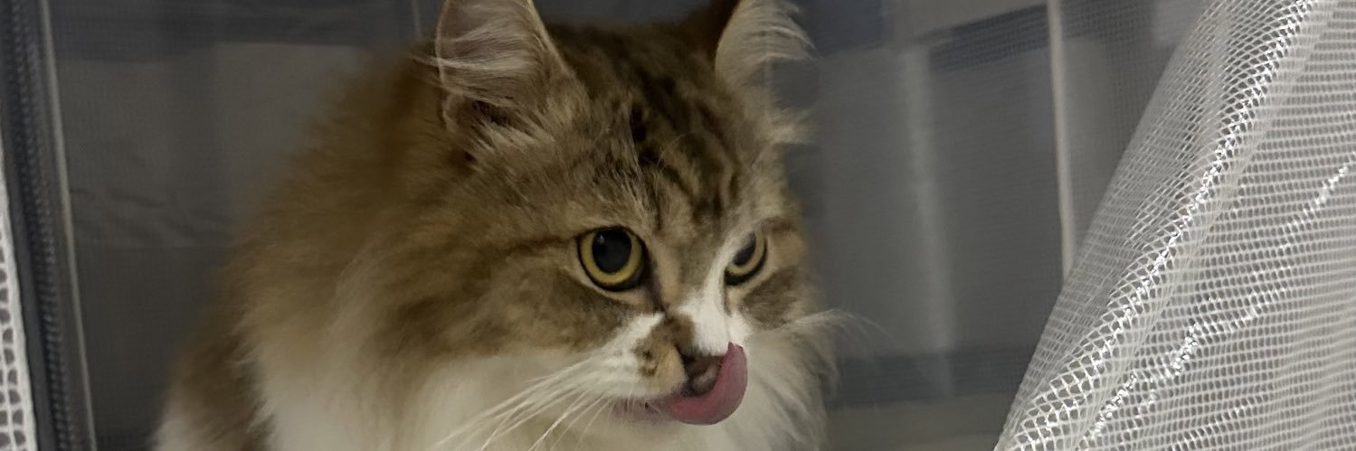 gwumpykidd's profile banner image
