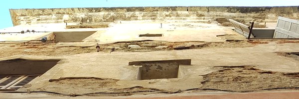 alvorithm Profile Banner