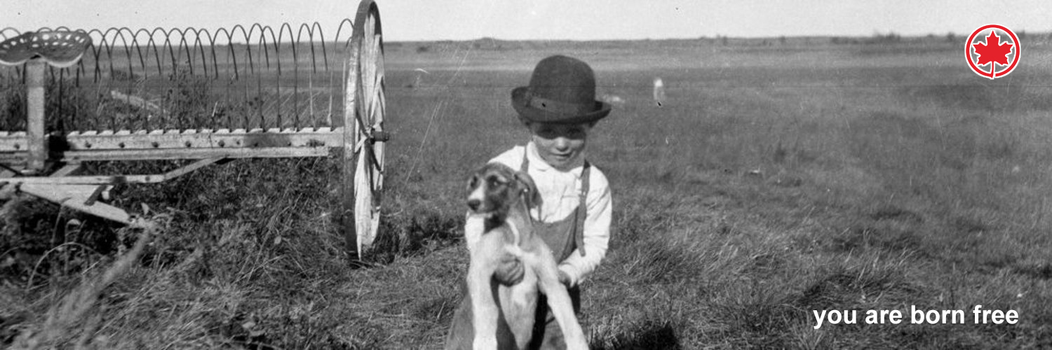 The Immune System 🍊: Normal banner