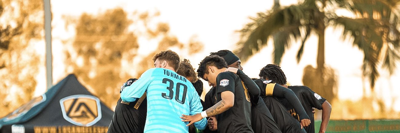 Los Angeles Force banner