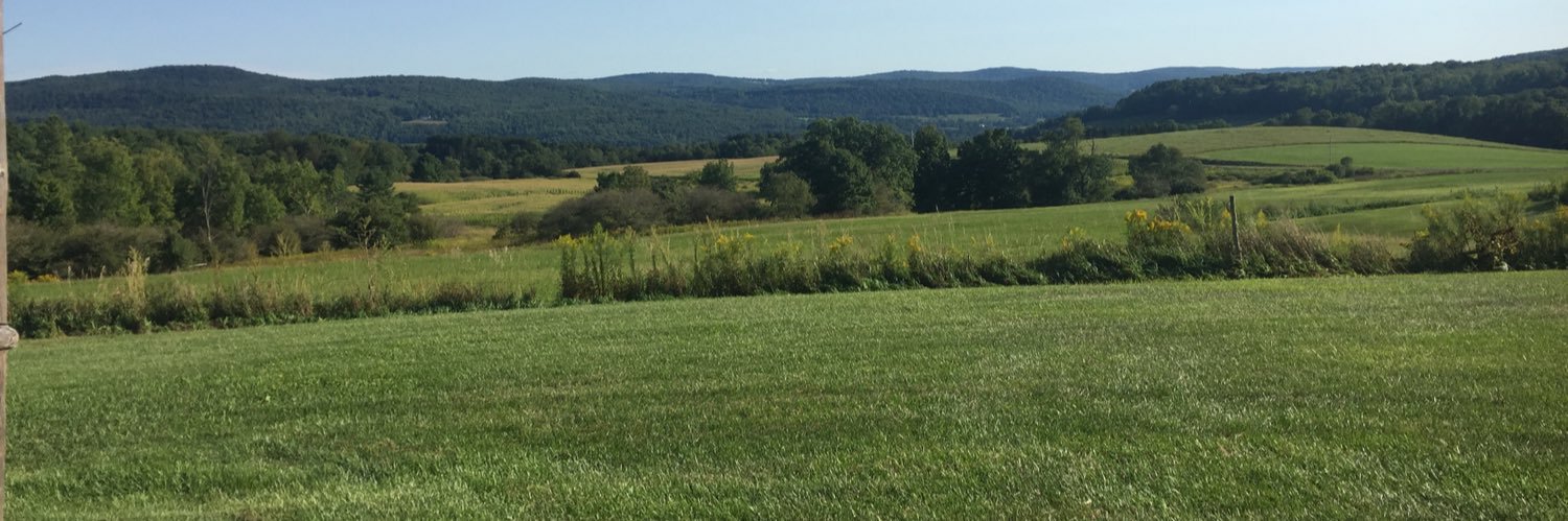 dodi_price's profile banner image