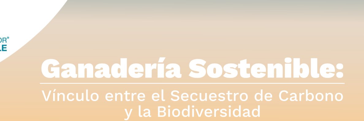 Mesa de Ganadería Sostenible Colombia banner