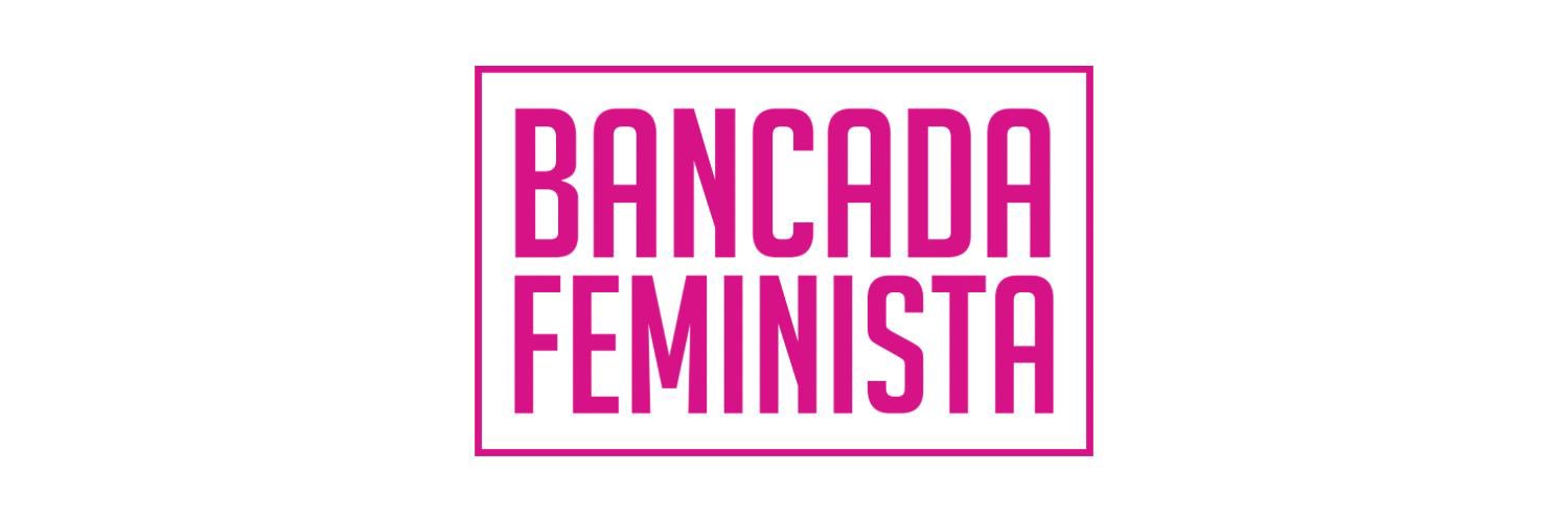 Paula Nunes da Bancada Feminista banner
