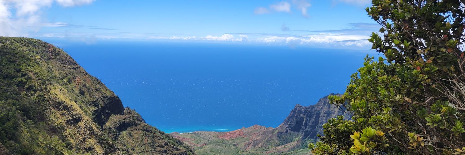 T. Raygoza, MD banner